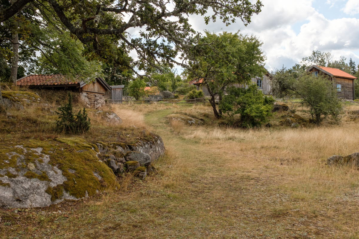 Trähus på landsbygden
