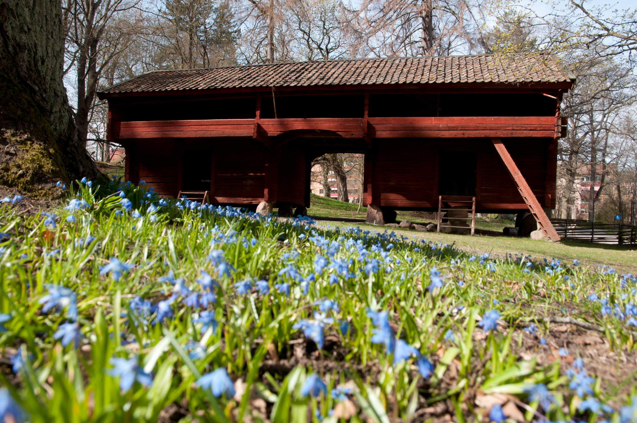 Krogsfallsgården i Trädgårdsföreningen, exteriör, vår.