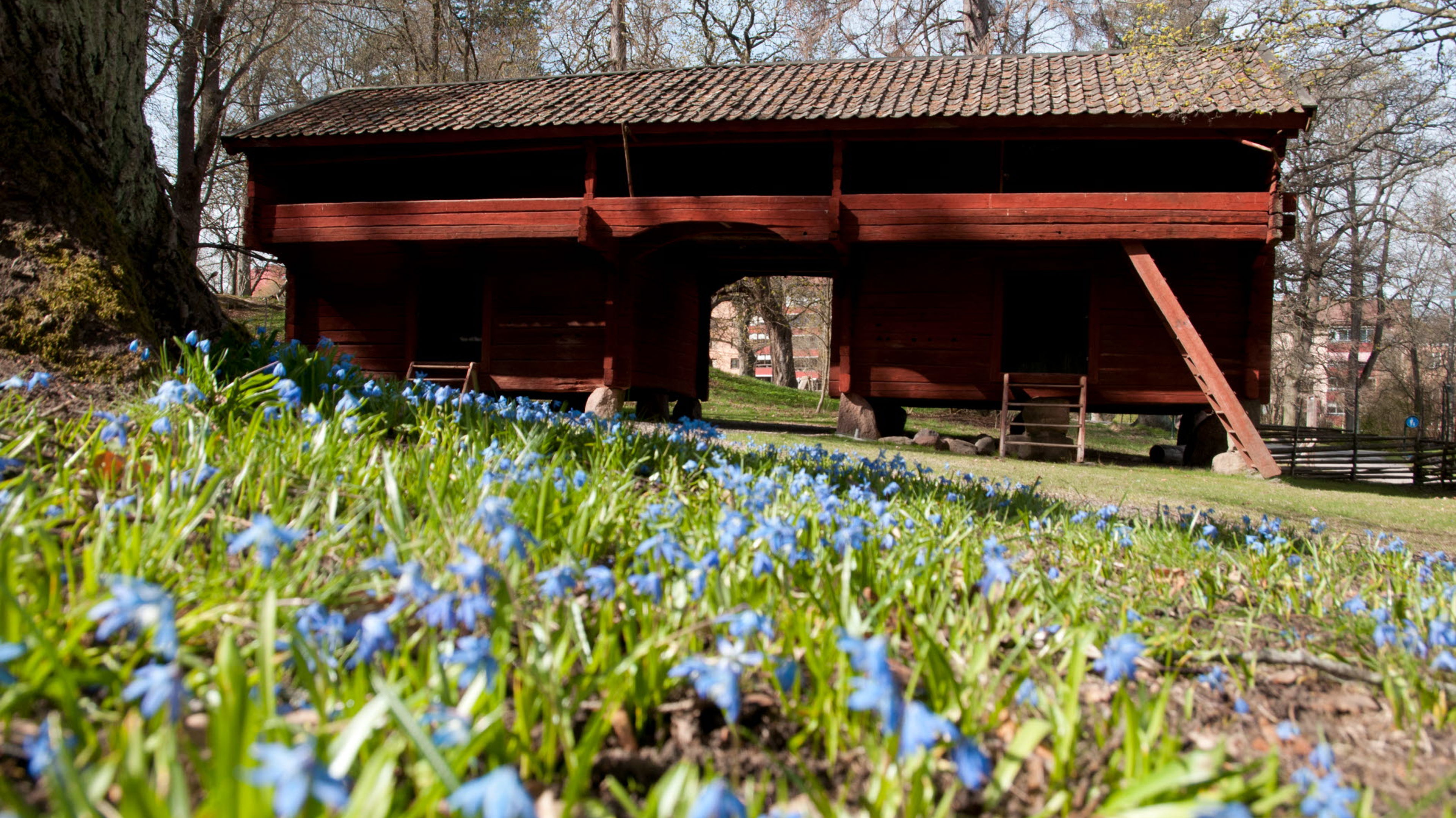 Krogsfallsgården i Trädgårdsföreningen, exteriör, vår.