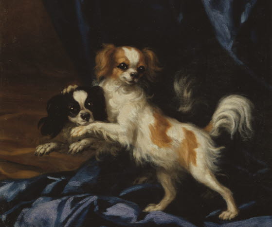 David Klöcker Ehrenstrahl (1628-1698), Två små hundar. Olja på duk, 58x52 cm. Nationalmuseum.