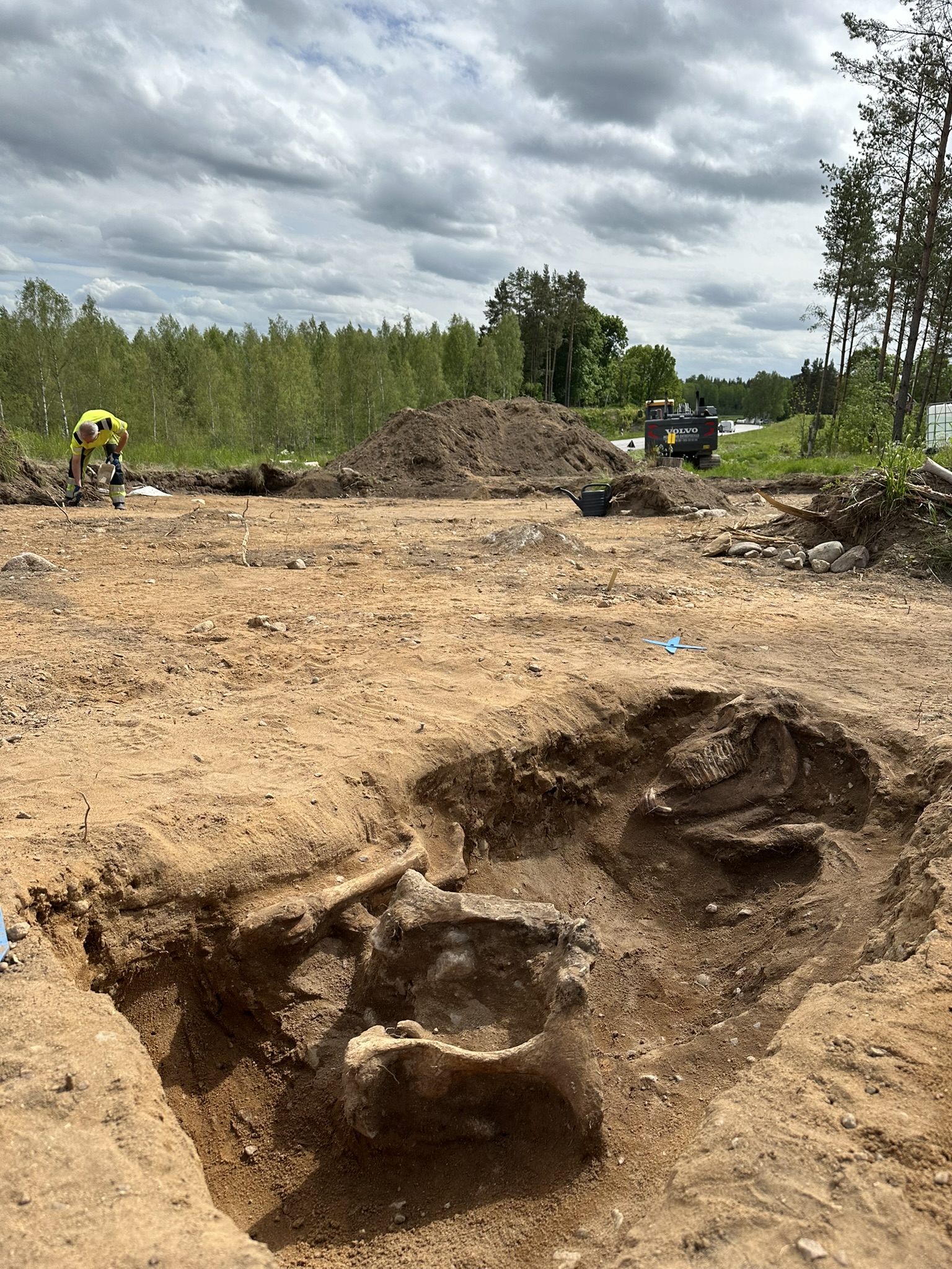 Gropen med hästskelettet. I bakgrunden syns riksväg 35, mellan Linköping och Åtvidaberg.