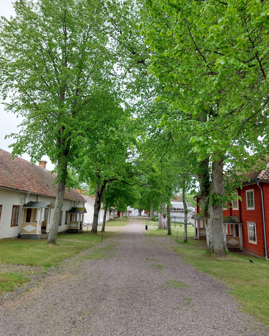 Museets konservatorer arbetar med väggmålningar från 1800-talet i Stora matsalen på Medevi Brunn.