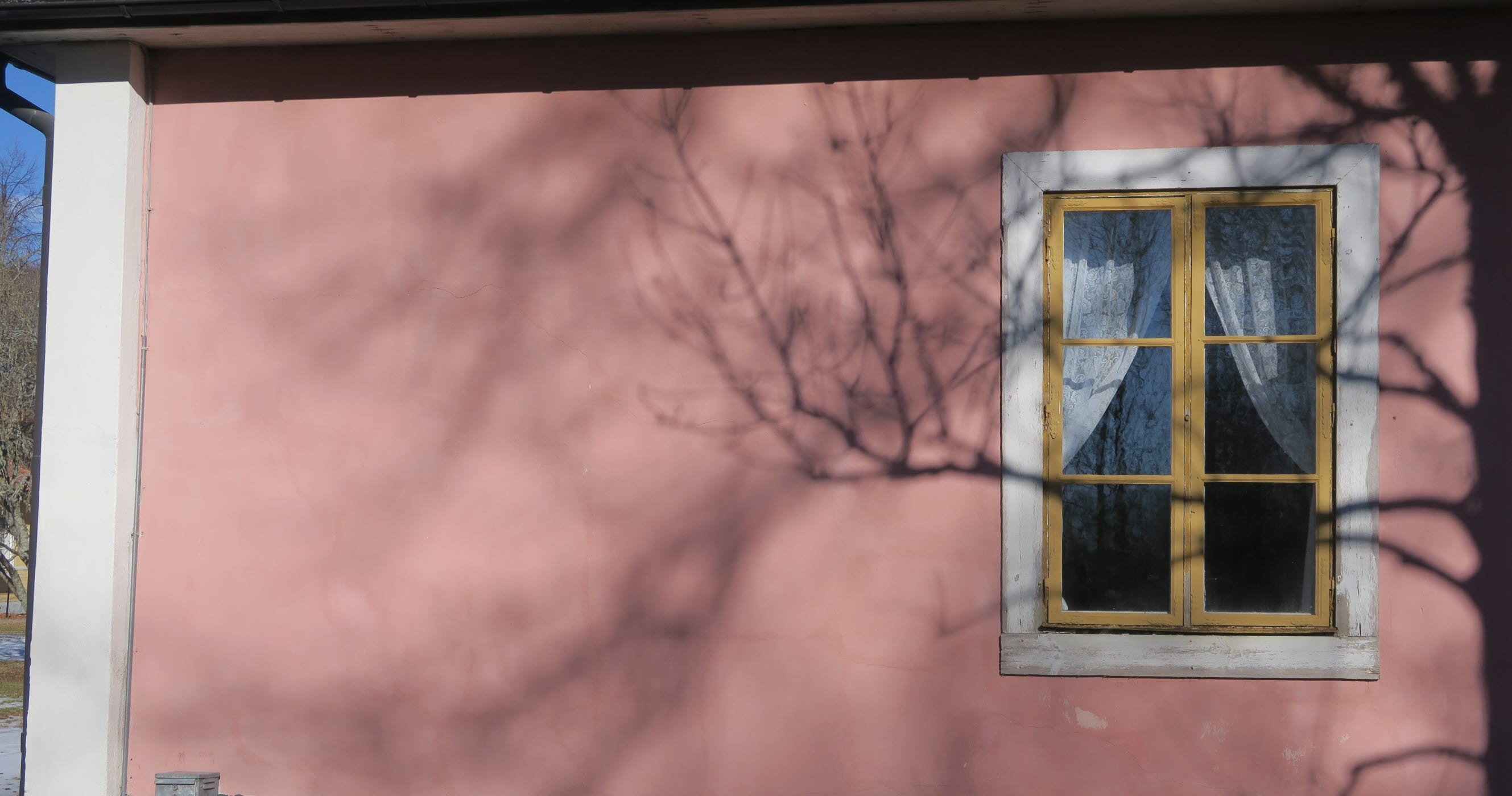 Till fönsterrenoveringens dag 2024.