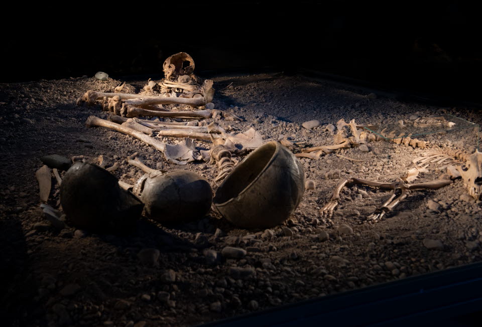 I förgrunden två runda lerkrukor och bakom skymtar skelett från hund och människa