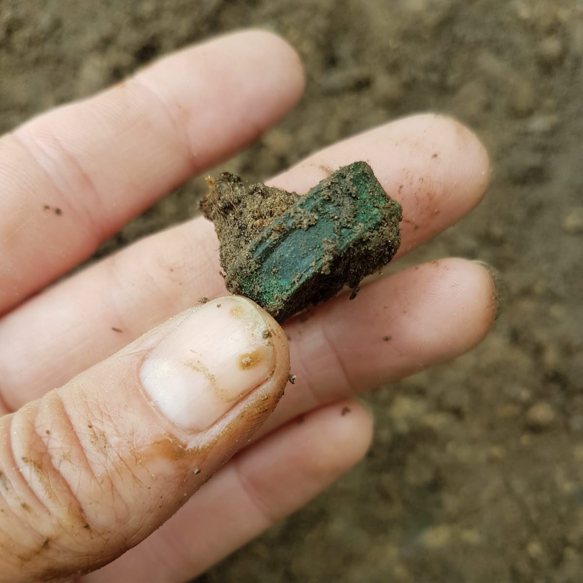 Fynd vid arkeologisk undersökning av Galgiebergs lyckorna, Skänninge gamla avrättningsplats.