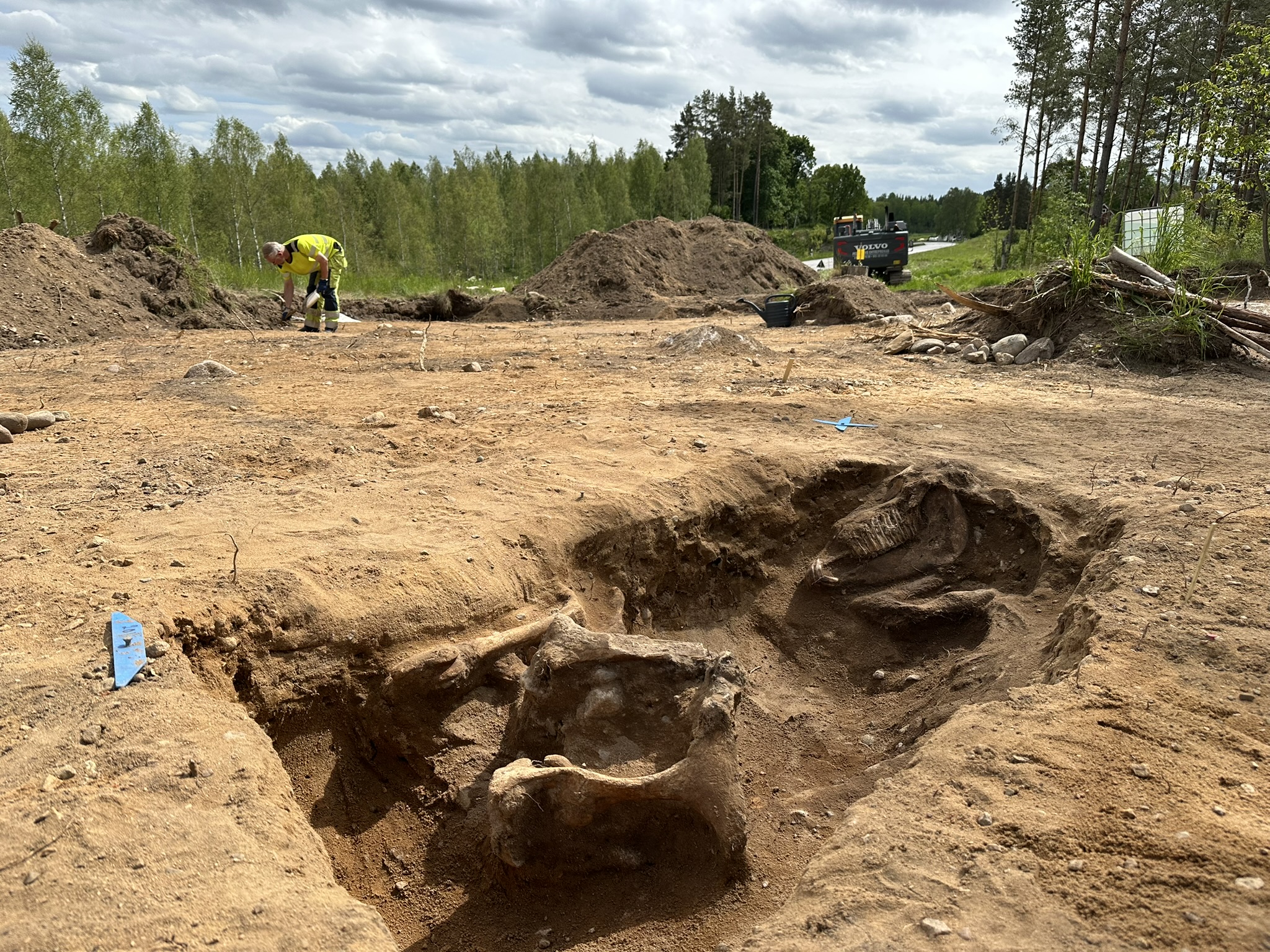 Gropen med hästskelettet. I bakgrunden syns riksväg 35, mellan Linköping och Åtvidaberg.
