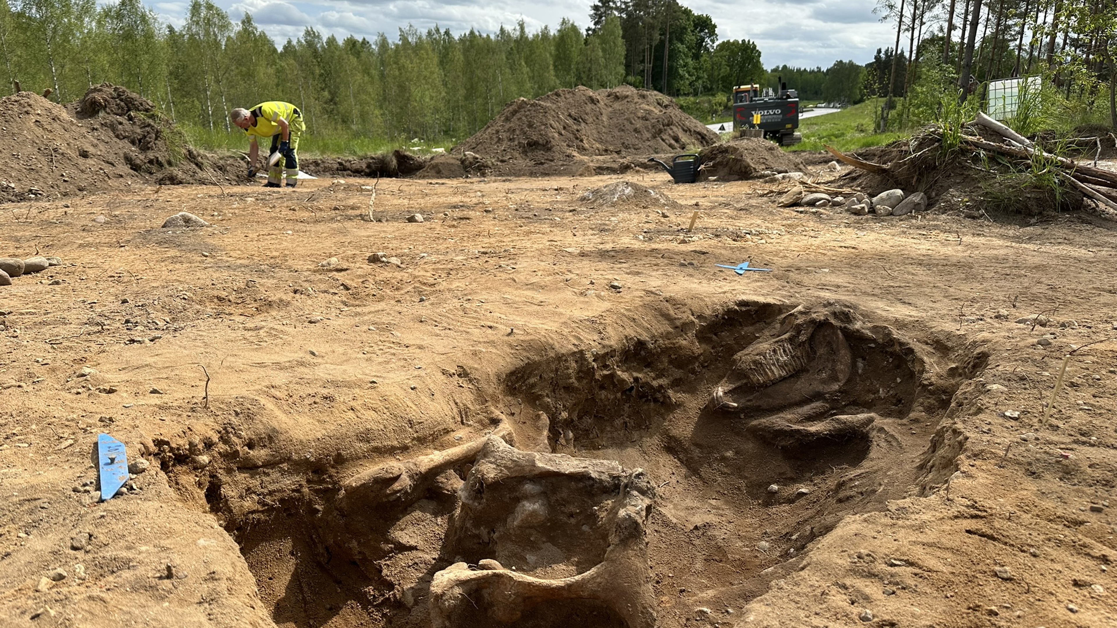 Gropen med hästskelettet. I bakgrunden syns riksväg 35, mellan Linköping och Åtvidaberg.
