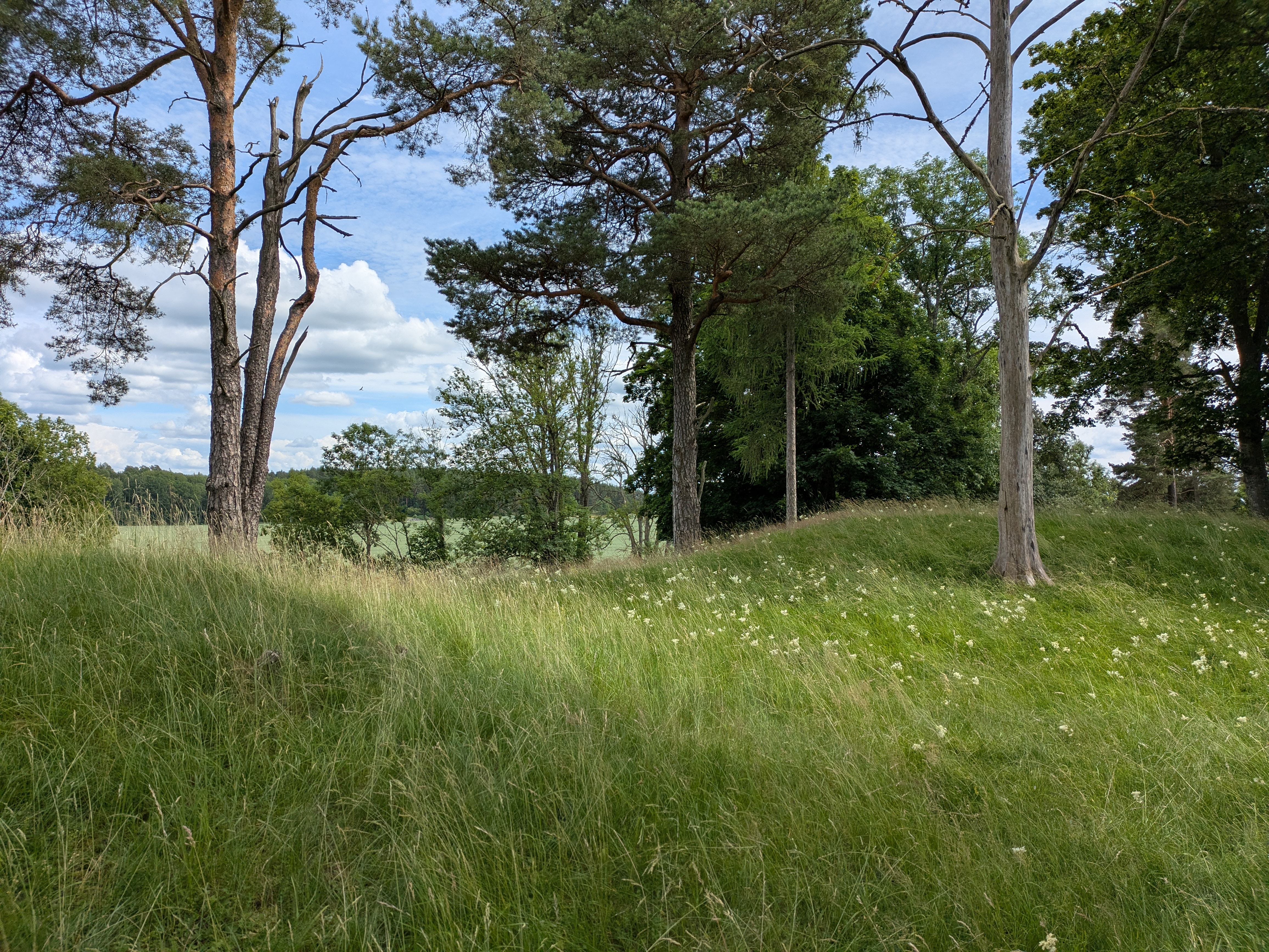 På gravfältet i Kårby finns ett 40-tal gravar, både högar och stensättningar.