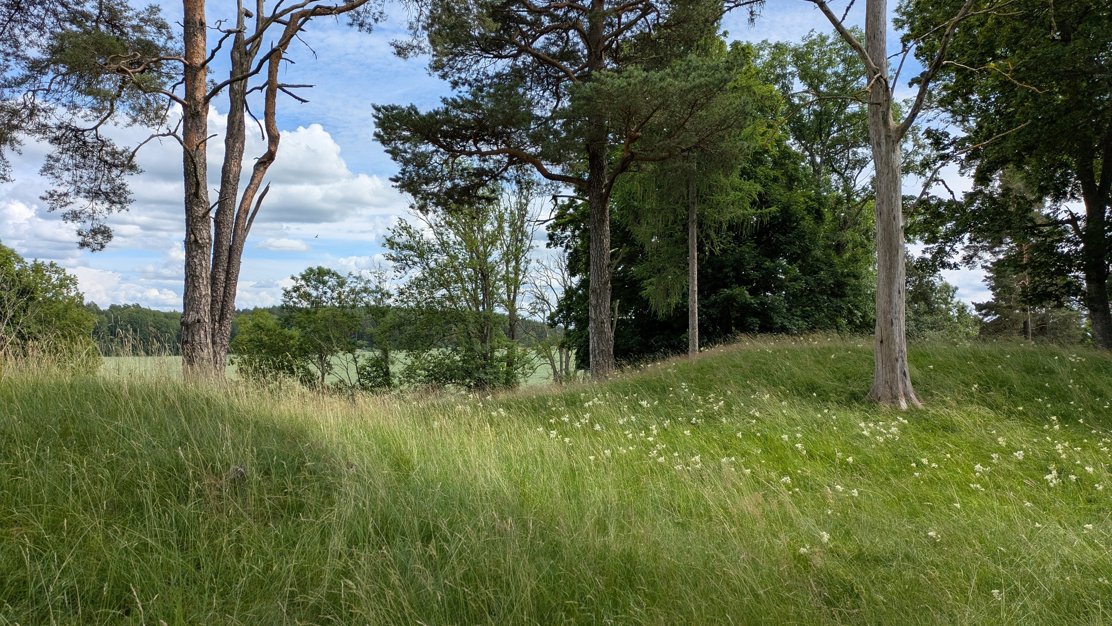 På gravfältet i Kårby finns ett 40-tal gravar, både högar och stensättningar.