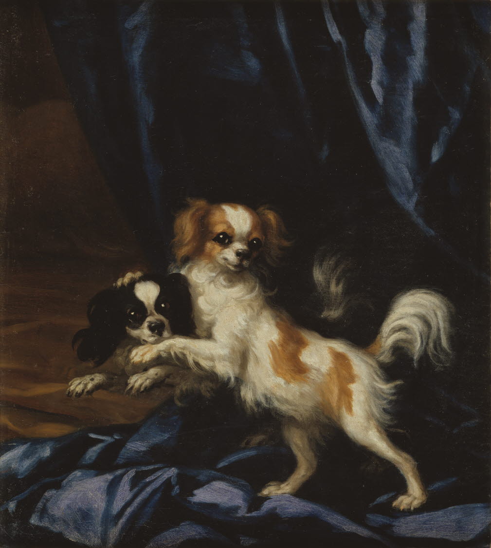 David Klöcker Ehrenstrahl (1628-1698), Två små hundar. Olja på duk, 58x52 cm. Nationalmuseum.