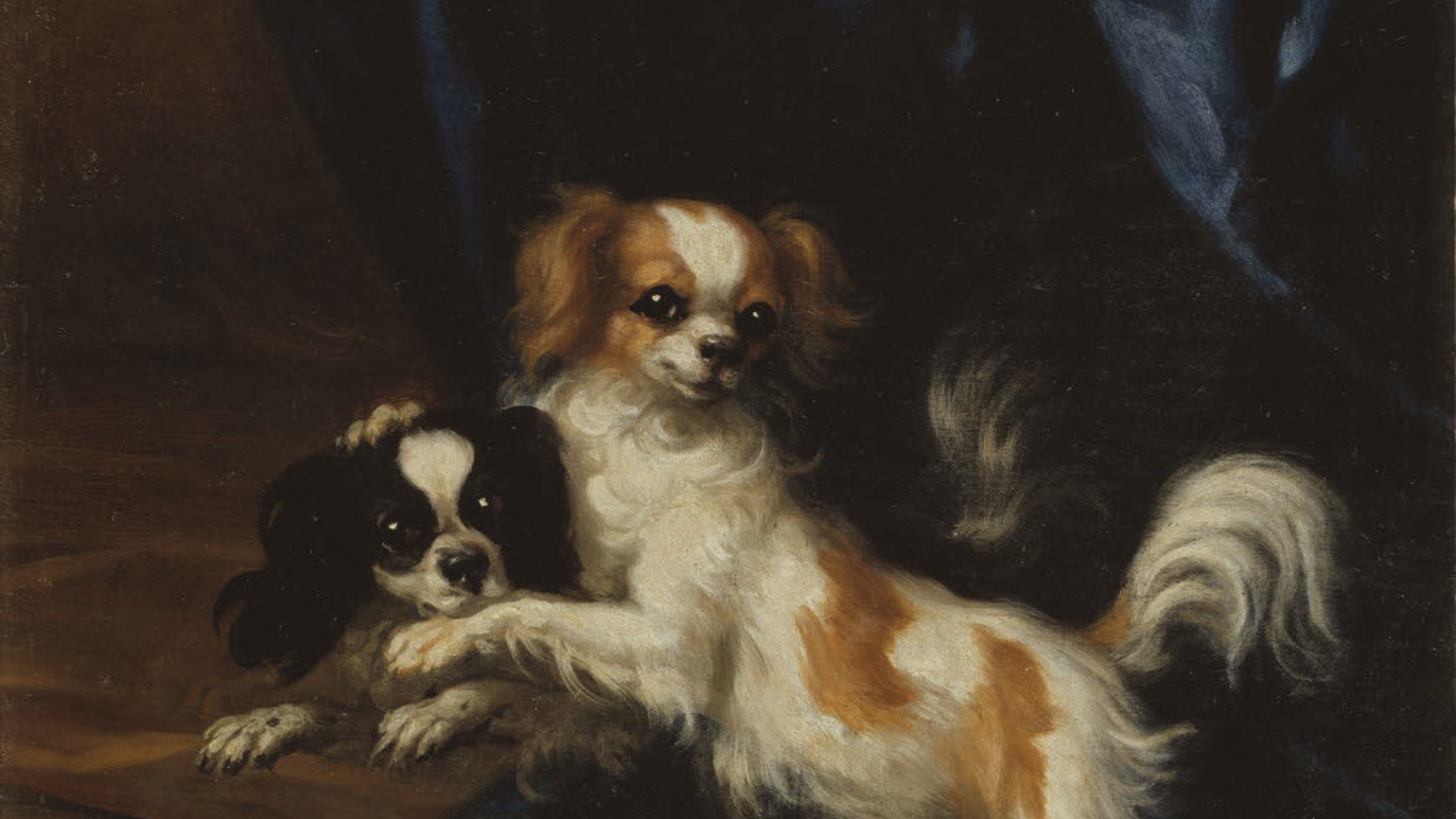 David Klöcker Ehrenstrahl (1628-1698), Två små hundar. Olja på duk, 58x52 cm. Nationalmuseum.