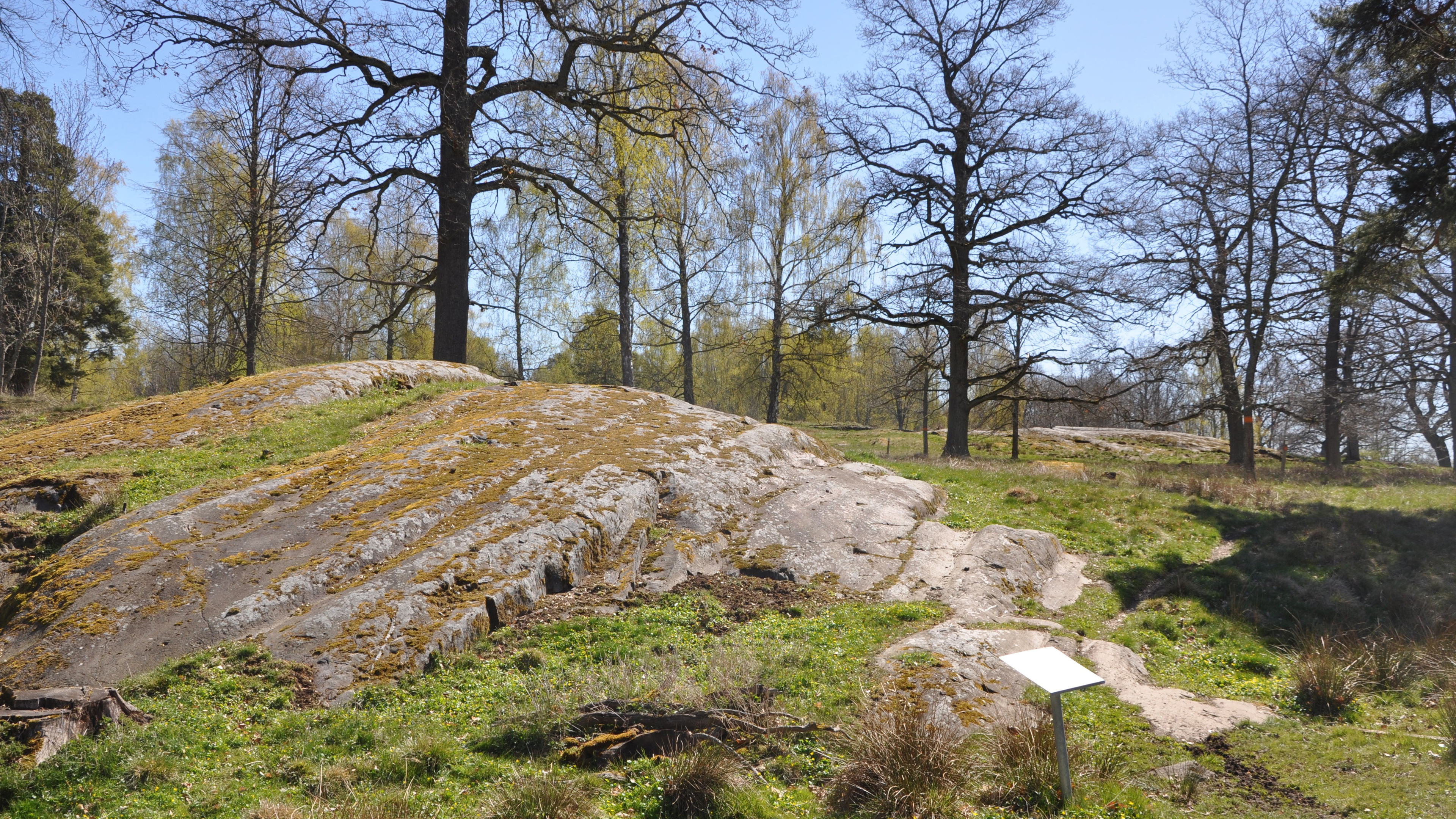 Hällristningar vid Leonardsberg strax utanför Norrköping.