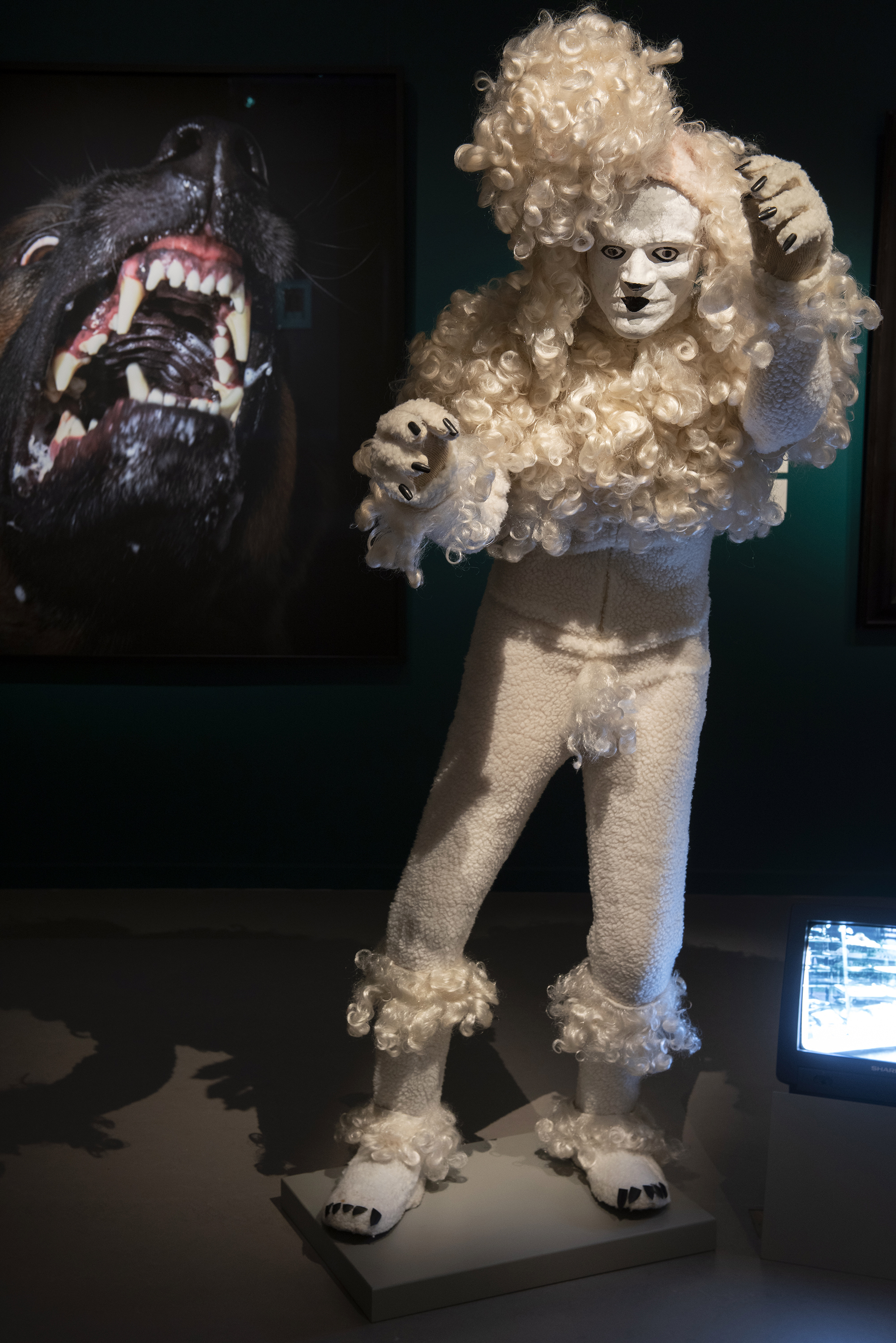 Ur konstutställningen Best in Show. I bakgrunden Jaws av Tim Flach.