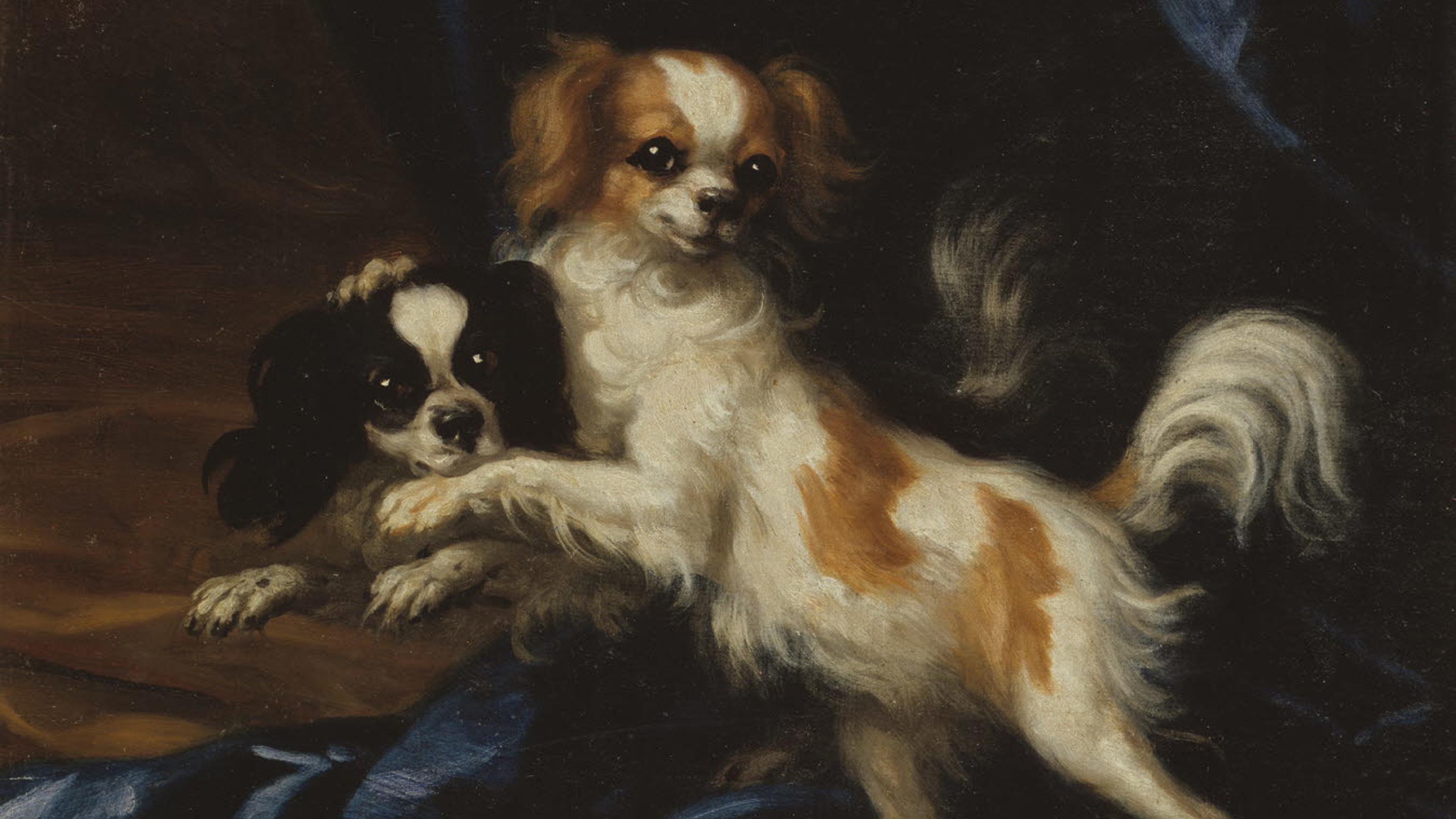 David Klöcker Ehrenstrahl (1628-1698), Två små hundar. Olja på duk, 58x52 cm. Nationalmuseum.