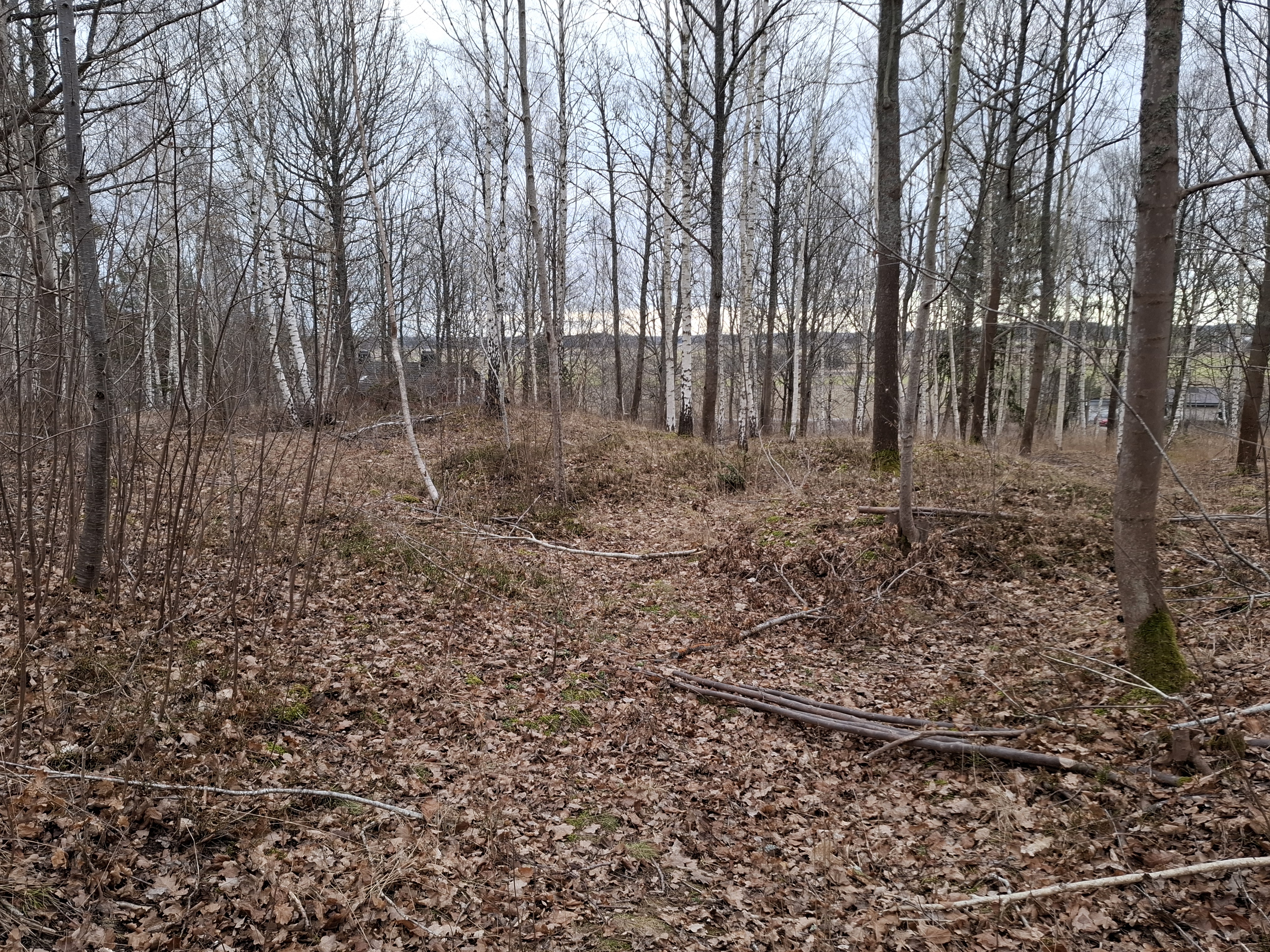 Järnåldersgravfält i Ljunga på Vikbolandet.