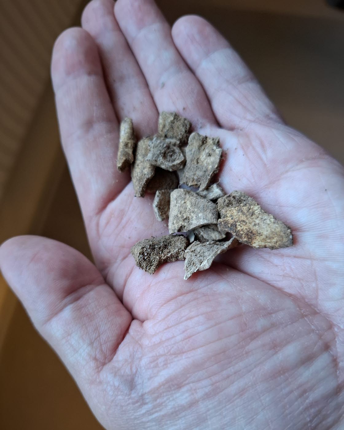 Arkeologer från museet gräver i Grebo, mellan Linköping och Åtvidaberg, inför ombyggnaden av riksväg 35.