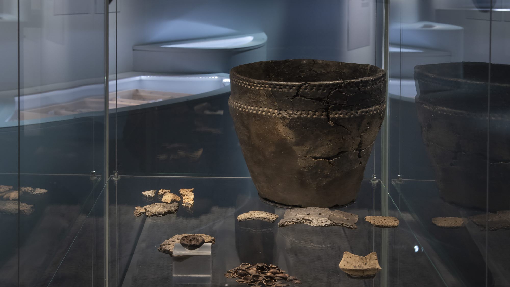 Del av monter i glas som visar olika arkeologiska fynd från arkeologisk utgrävning av Alvastra pålbyggnad, bland annat ett kärl i keramik.