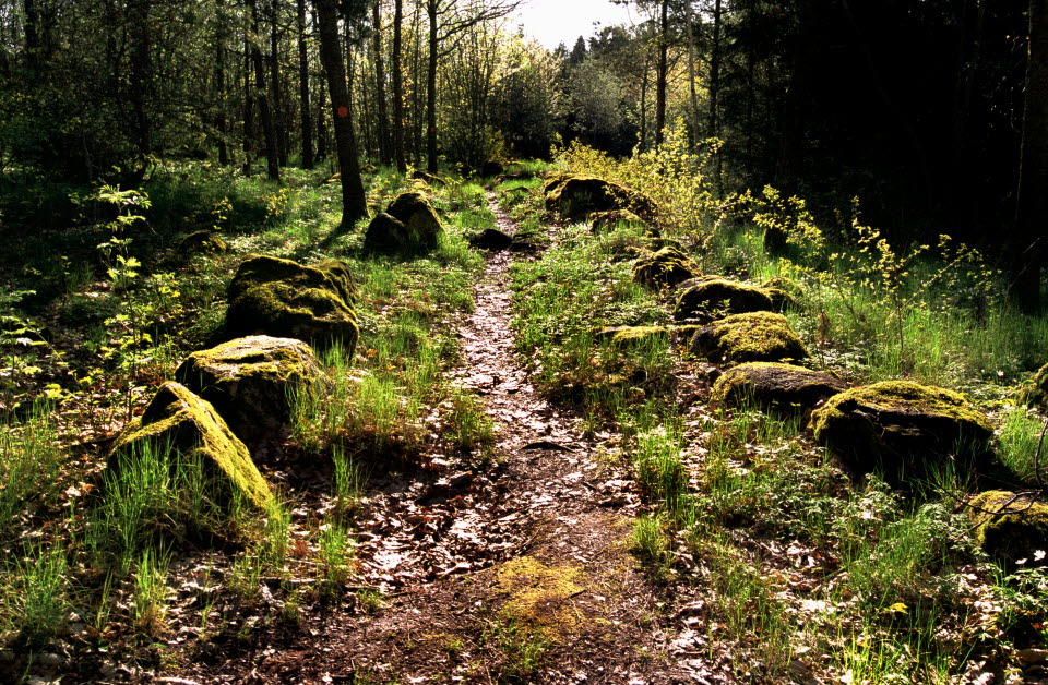 Bild från Gamla Linköping för användning i samband med Kulturarvsdagen 2023