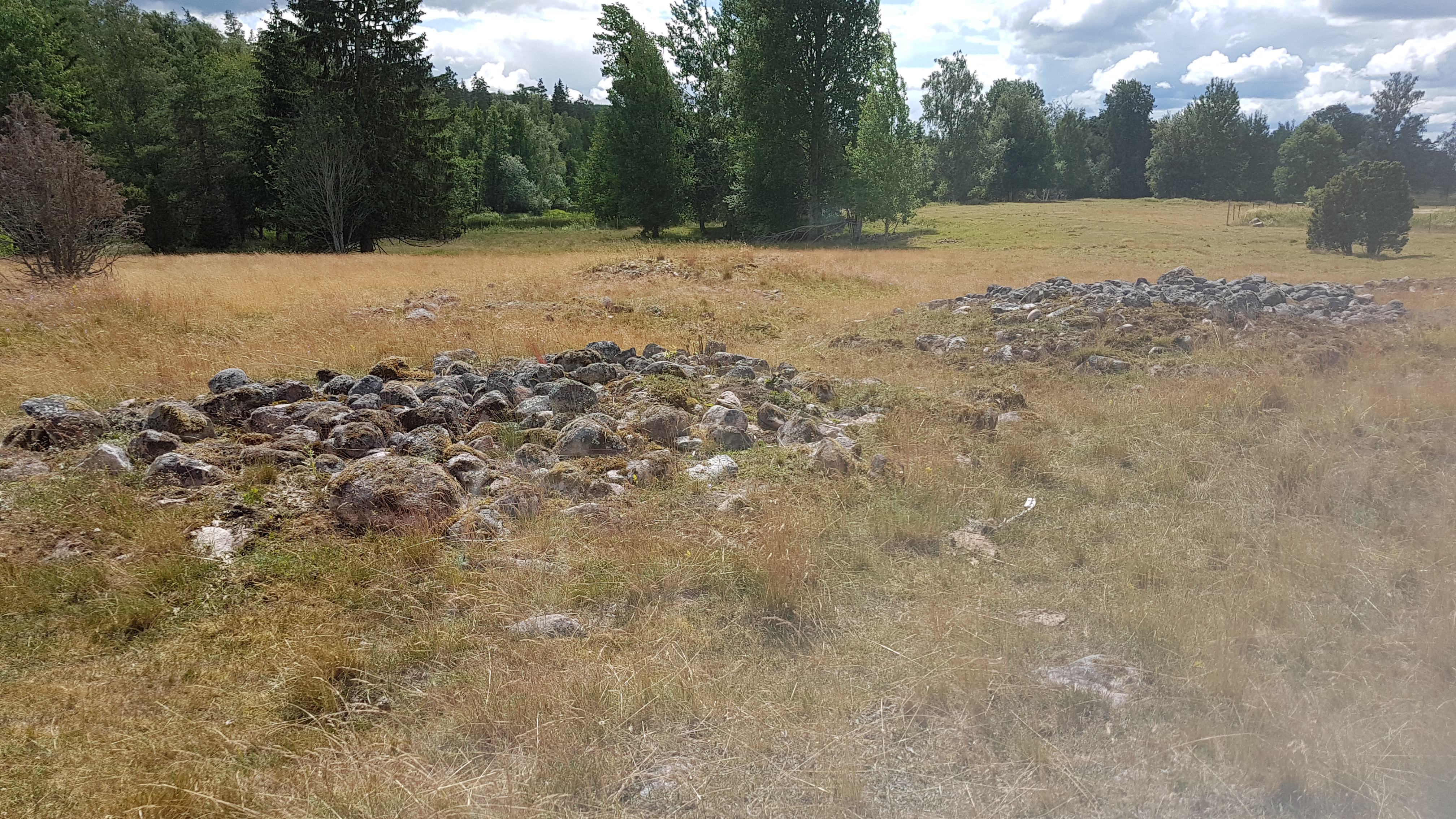Bulsjö