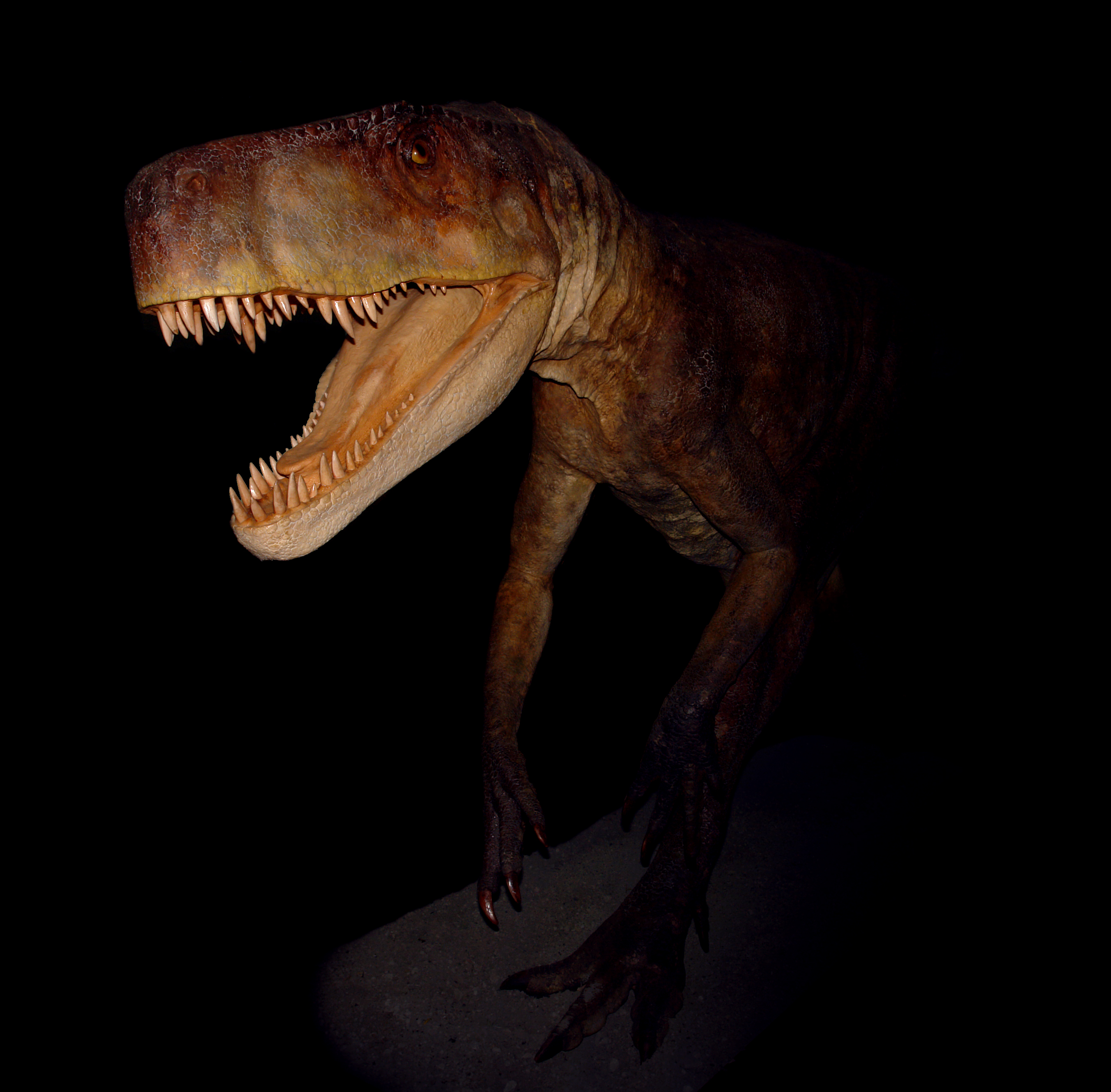 Dinosaurie