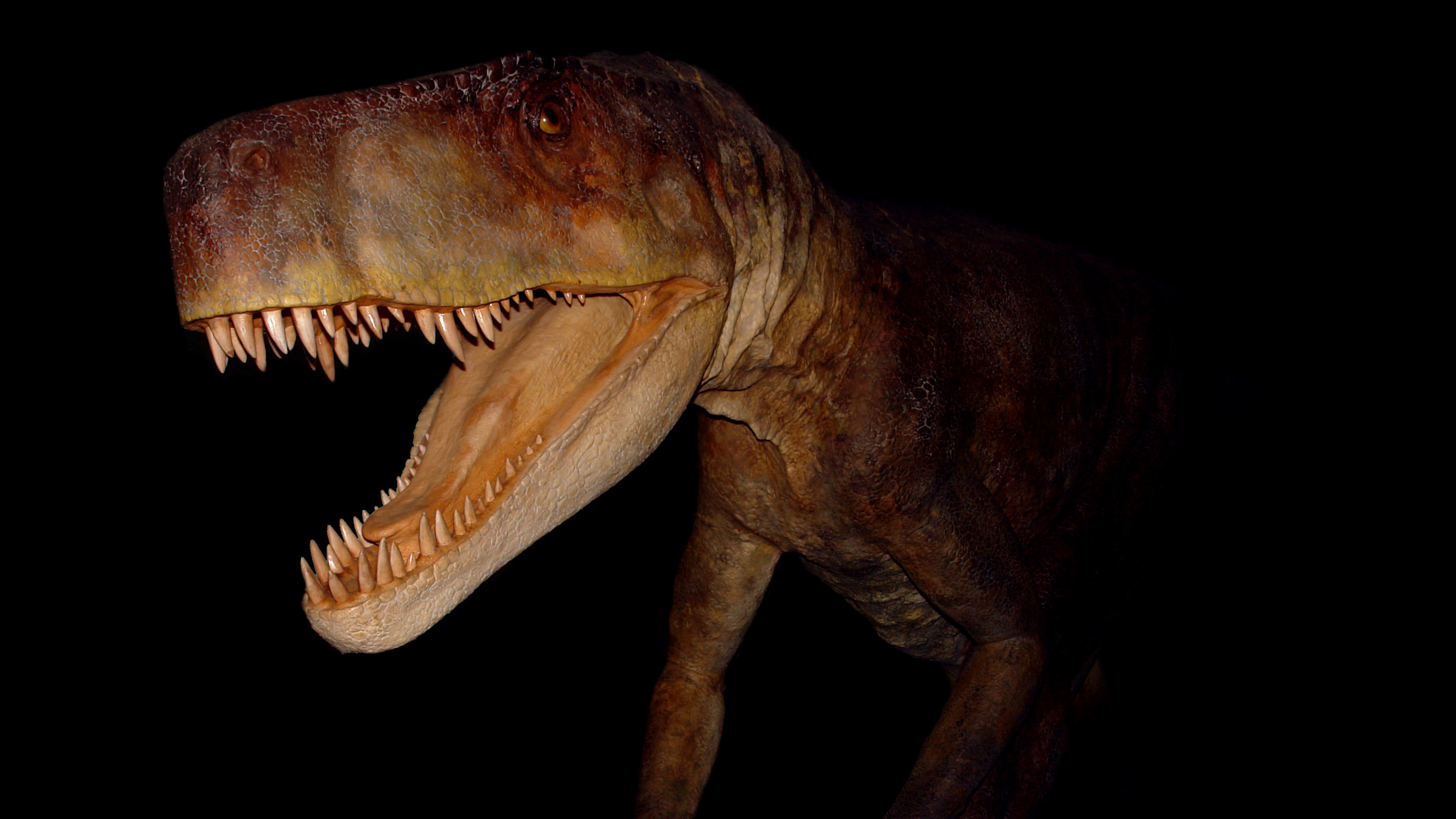 Dinosaurie